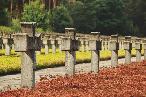 Tarihi mezarlıkta sıra sıra beton haçlar.