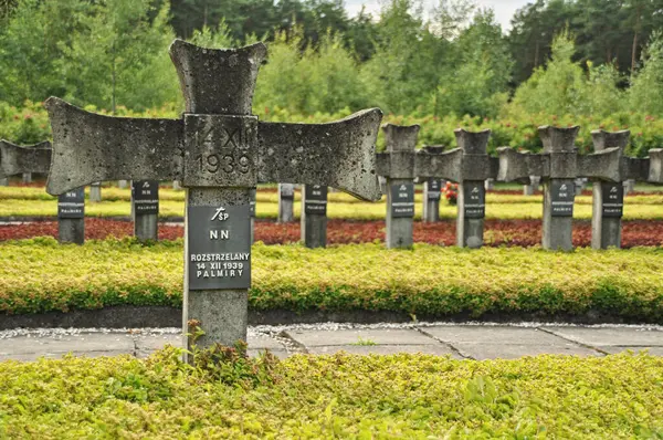 Tarihi mezarlıkta sıra sıra beton haçlar.