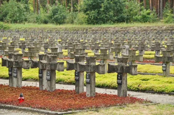 Tarihi mezarlıkta sıra sıra beton haçlar.