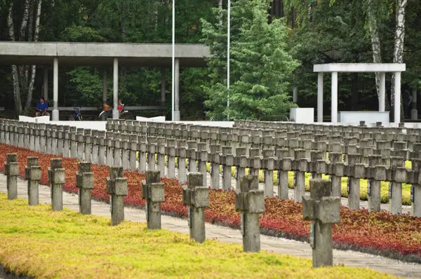 Tarihi mezarlıkta sıra sıra beton haçlar.