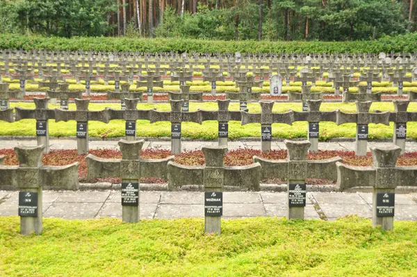 Tarihi mezarlıkta sıra sıra beton haçlar.