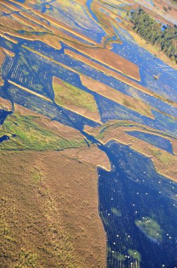 Narew Nehri 'nin kuş bakışı manzarası ve yeşil sulak alanlar. Örülmüş Narew Nehri' nin tepeden aşağı insansız hava aracı görüntüsü.
