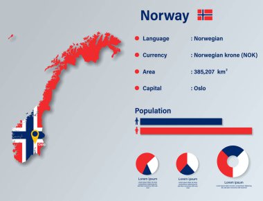 Norveç Infographic Vector Illustration, Norveç İstatistik Veri Elemanı, Norveç Bayrak Haritalı Bilgi Panosu, Norveç Bayrak Düz Tasarımı