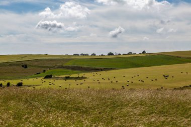 Kırsal bir South Downs arazisi. Hasat zamanı saman balyalarıyla dolu.