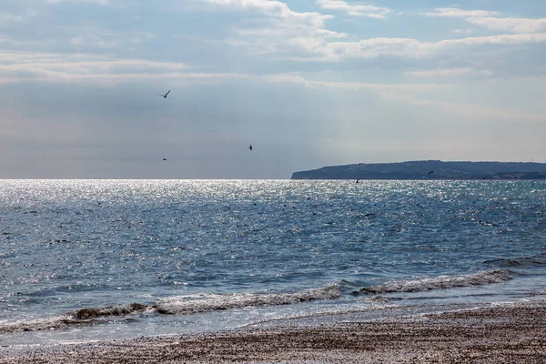 Camber Sands sahilinden okyanusa bakıyorum.