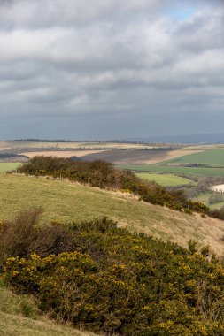 Bir Mart gününde Güney Downs manzarası