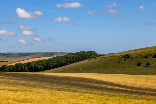 Uma Vista Sussex Rural Dia Ensolarado Junho — Fotografia de Stock