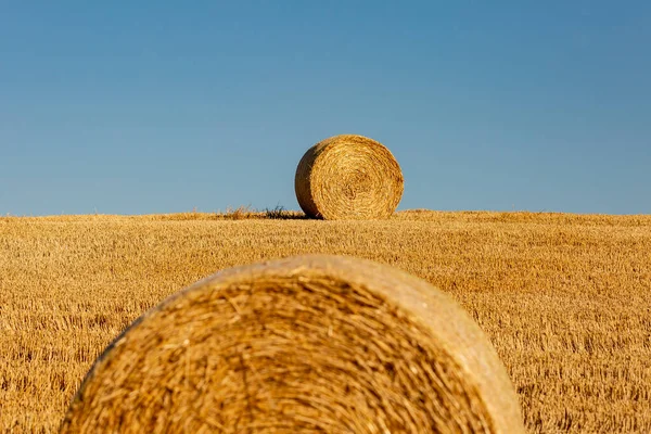 Sussex kırsalında Haybales, güneşli bir yaz gününde