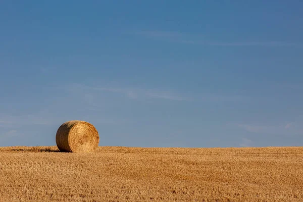 Haybales Zona Rurală Sussex Într Însorită Vară — Fotografie, imagine de stoc