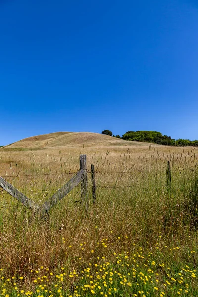 Kaliforniya Kırsalının Üzerinde Mavi Bir Gökyüzü Bir Yaz Günü — Stok fotoğraf