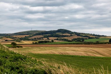 Wight adasının kırsal kesiminde bulutlu bir yaz günü