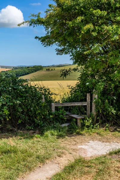 A pathway and stile in the South Downs, on a sunny summer\'s day