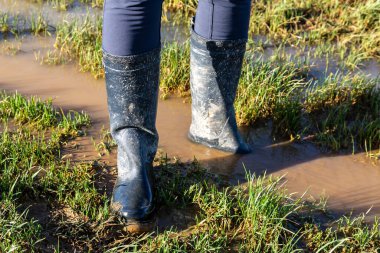 A view of a woman from the knees down, standing in a puddle on a country path whilst wearing wellington boots