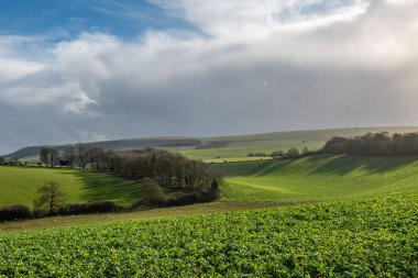 Looking out over the South Downs on a sunny Winter's day