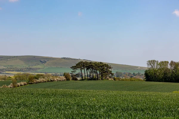 A rural farm landscape in the South Downs on a sunny late spring day