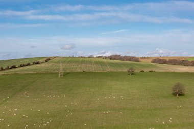 A view over green fields in the South Downs on a sunny winter's day