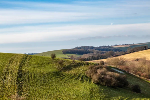 A rural South Downs landscape on a sunny January day