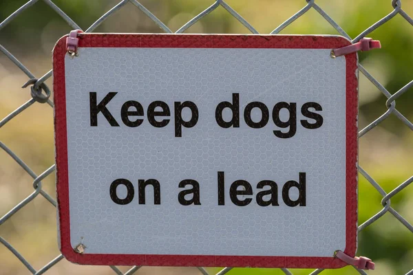 苏塞克斯郊区一只 让狗保持领先标志 的特写 — 图库照片