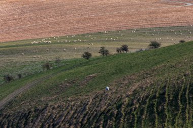 Sussex 'in kırsal kesimlerinden bir çiftlik manzarası ilkbahar günü