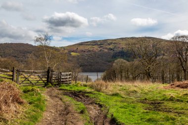 Cumbria 'da kırsal bir manzara, bir bahar günü