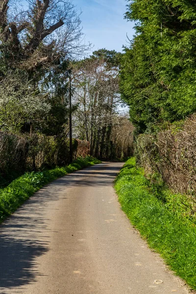 Güneşli Bir Bahar Gününde Sussex Kırsal Kesimlerinde Yol Kenarına Bakıyorum — Stok fotoğraf