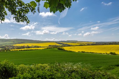 Güneşli bir bahar gününde South Downs çiftliğinin manzarasına bakıyorum.