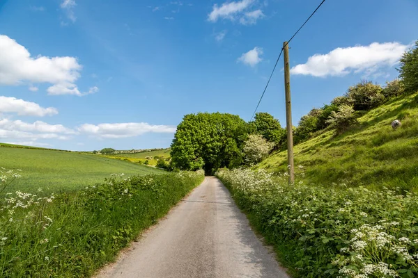 Looking Country Road Rural Sussex Sunny Spring Day — Stock Photo, Image