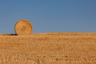 Ufukta mavi gökyüzü olan bir saman balyası.