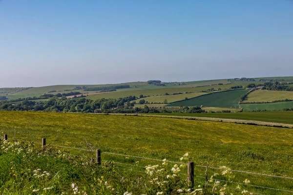 Kırsal bir Sussex yeşili yaz manzarası. Üstünde mavi bir gökyüzü var.