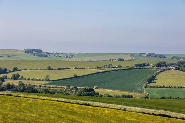 Looking Out Green South Downs Rolling Landscape Sunny Early Summer — Stock Photo, Image