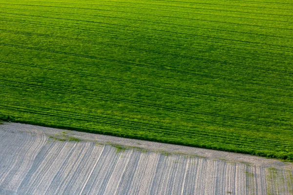 Une Photographie Plein Cadre Regardant Les Terres Agricoles Printemps — Photo