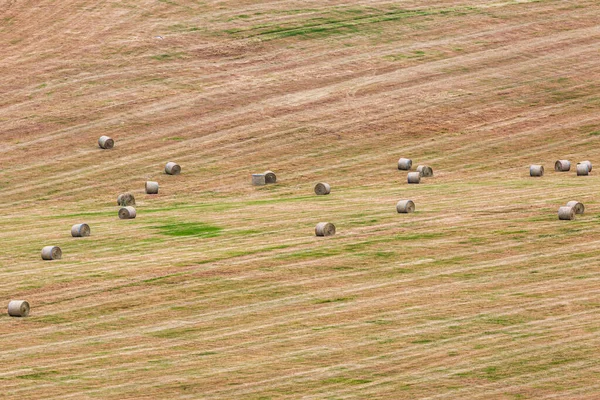 夏天的一天 俯瞰汉普郡田野里的干草堆 — 图库照片