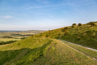 Güneşli bir yaz akşamında Güney Downs 'da Kingston Ridge yakınlarında bir patika.