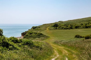 Güneşli bir yaz gününde, Eastbourne 'dan Beachy Head' e giden sahil yolu.