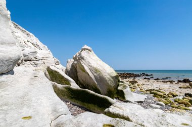 Tebeşir kayalıklarının dibinde kaya oluşumları, Eastbourne yakınlarındaki Sussex kıyısında.