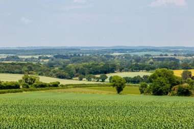 Güney Downs Yolu boyunca Hampshire 'daki tarım arazilerine bakıyorum.