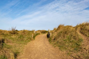 Marram otları arasında kumlu bir patika, tepede mavi bir gökyüzü olan kum tepeleri