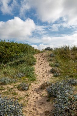 Merseyside kıyısındaki Crosby 'de kum tepeciğinde bir patika.
