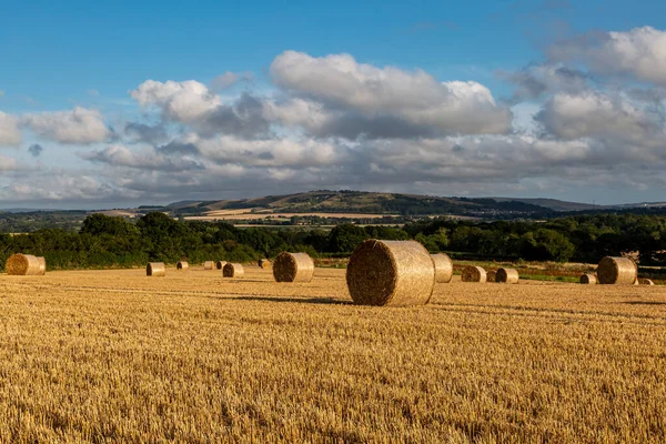 Bales Sussex Hillside Malling Distance — Stock Photo, Image
