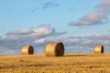 Sussex kırsalında, öğleden sonra güneşinde balyalar