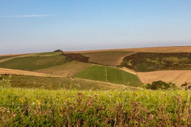 Güneşli bir Eylül akşamında Güney Tepeleri 'ne bakıyorum.