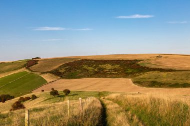 Güneşli bir eylül akşamında Güney Downs 'taki Balsdean Bottom' a bakıyorum.