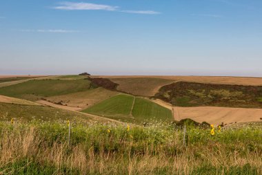 Eylül 'de güneşli bir öğleden sonra Sussex manzarası