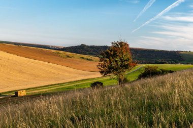 Yazın sonlarına doğru tepemizde mavi gökyüzü olan bir Güney Downs manzarası.