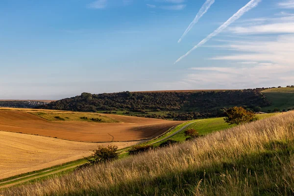 Sussex Kırsalının Üzerinde Mavi Gökyüzü Olan Bir Manzara — Stok fotoğraf