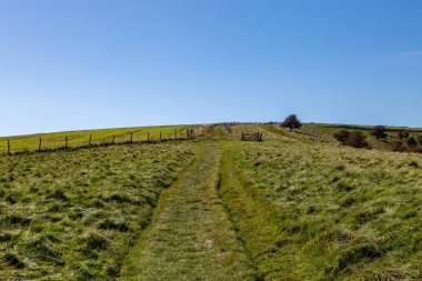 Güney 'de bir çim patikası Tepesinde mavi bir gökyüzü