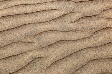 Tam bir çerçeve fotoğrafı, kumdaki doğal desenlere bakıyor.