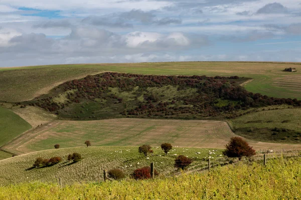 Olhando Para Uma Paisagem Rural Sussex Com Ovelhas Pastando Vale — Fotografia de Stock