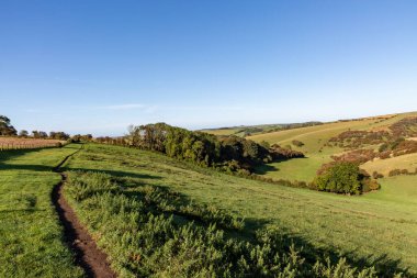 Sussex 'teki Ditchling Beacon' da, Güney Downs kırsalının üzerinde mavi bir gökyüzü.