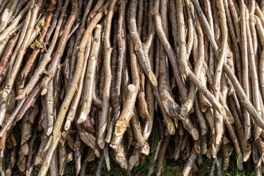 Kesik ağaç dallarının tam bir çerçeve fotografı